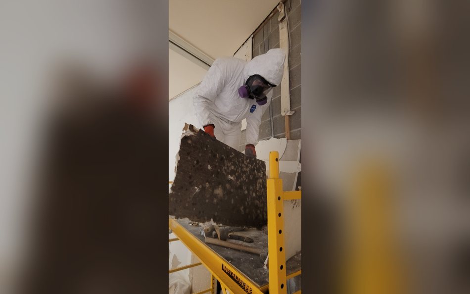 Our founder in protective gear removing a mold-contaminated panel during a hotel remediation